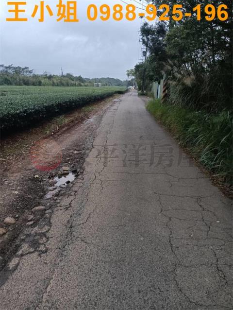 桃園龍潭農地-3
