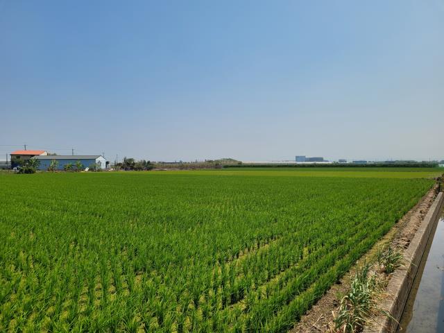 太保農地-2