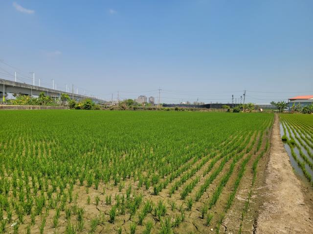 太保農地-4