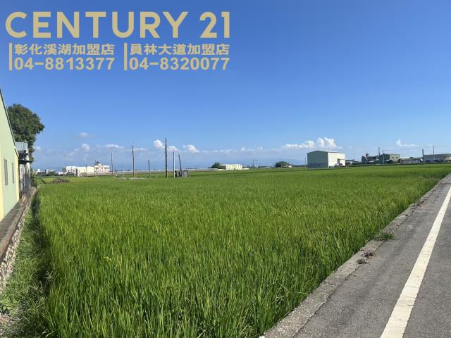 竹塘農地-6