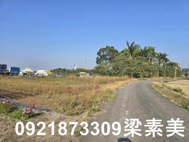 善化農地-7