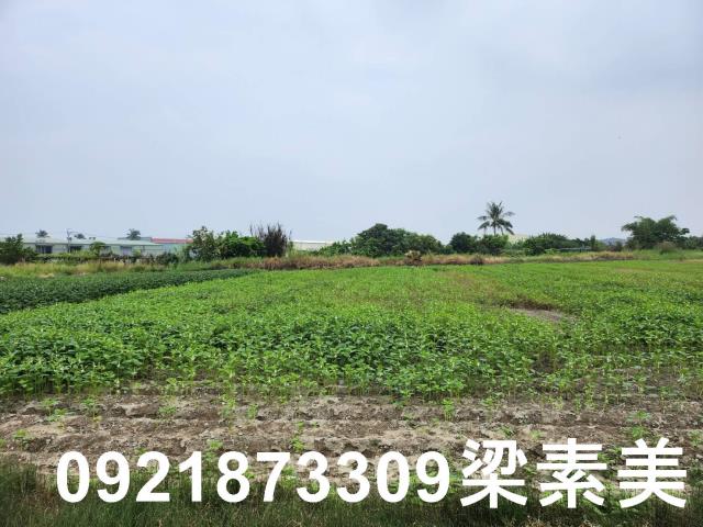 安定農地-2