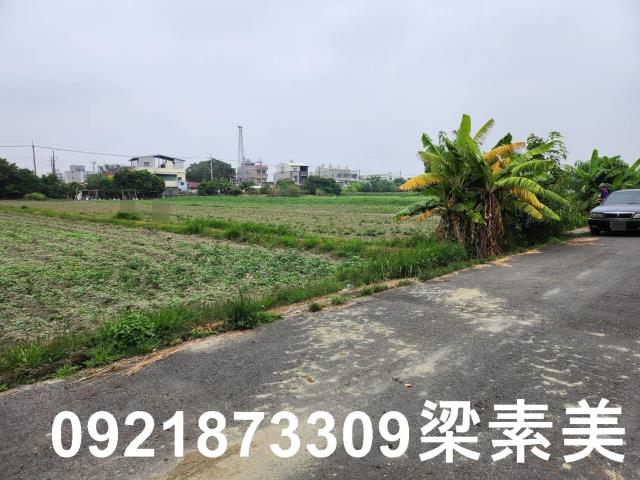 安定農地-3