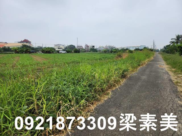安定農地-5