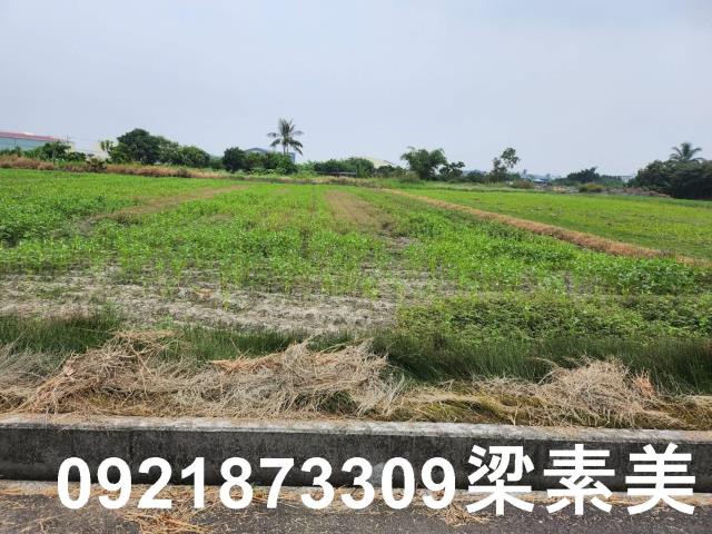 安定農地-6