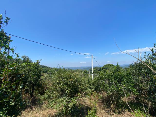 峨眉農地-4