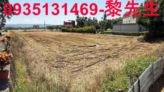 楊梅農地-13