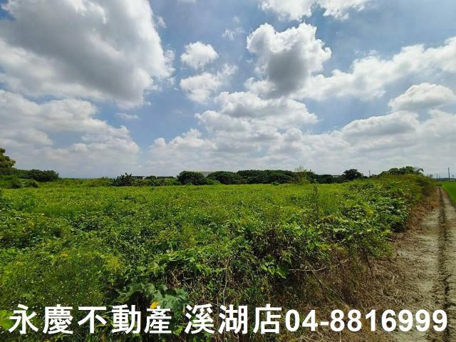 秀水農地-11