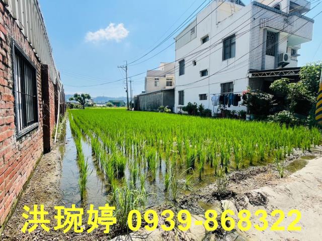 台中農地-6