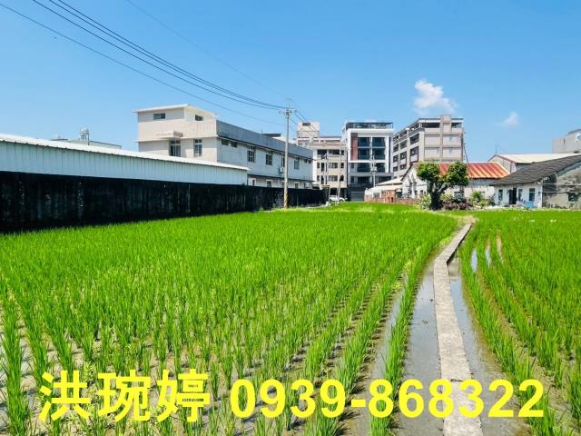 台中農地-7