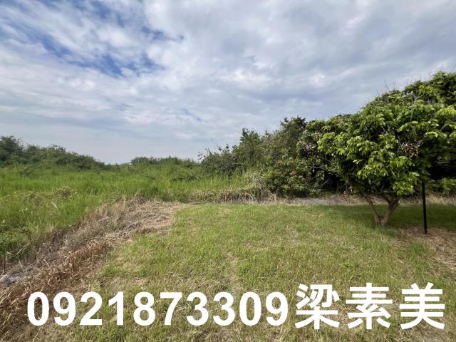 安南農地-1