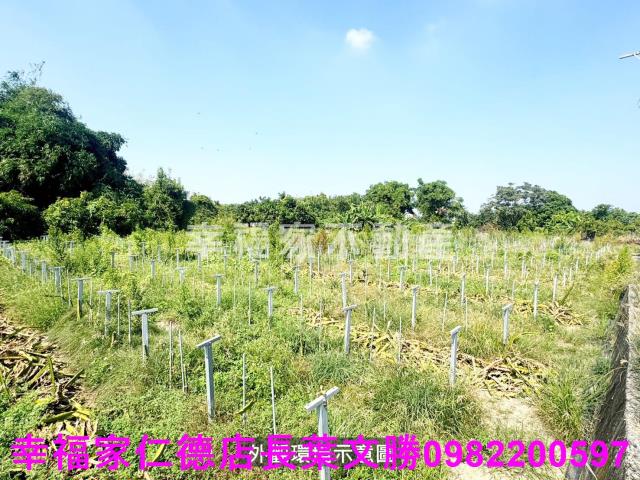 柳營農地-11