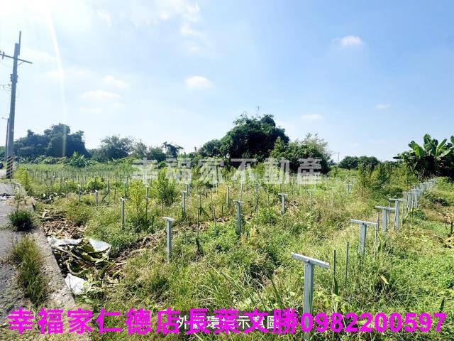 柳營農地-3