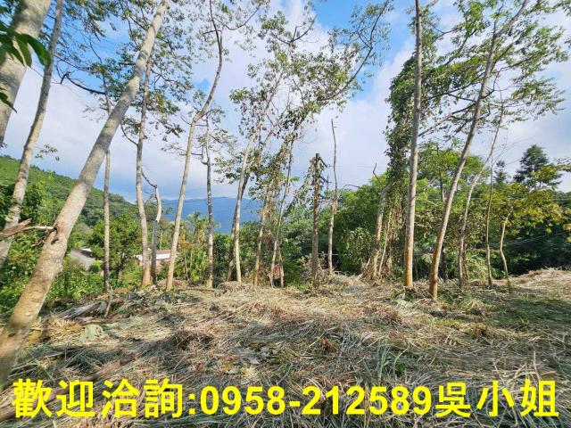 新竹橫山山坡地-1