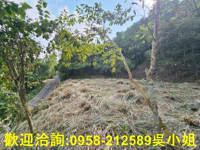 新竹橫山山坡地-3