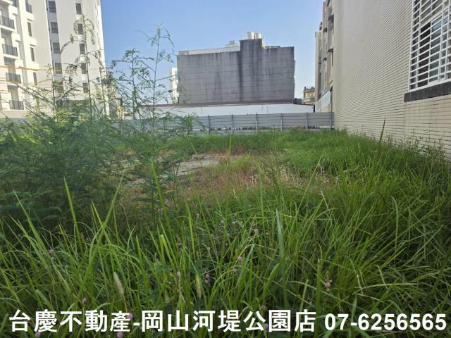 湖內建地-12