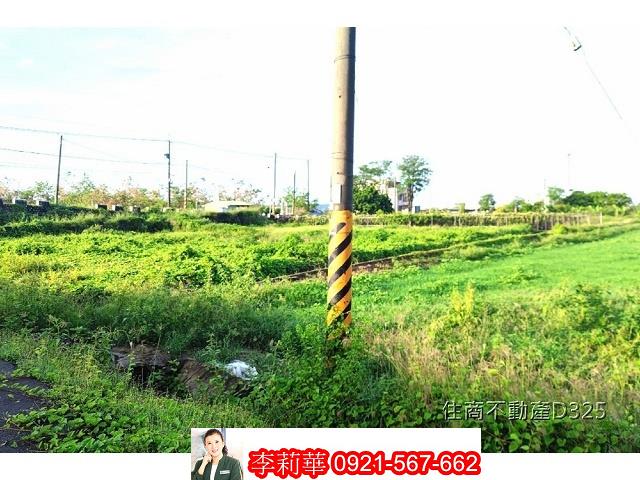柳營農地-4