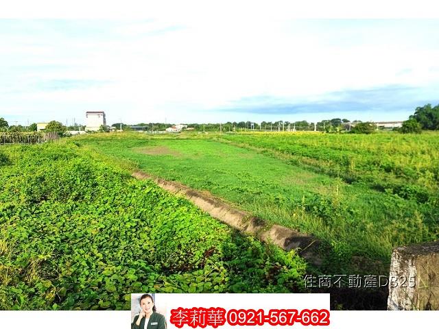 柳營農地-7