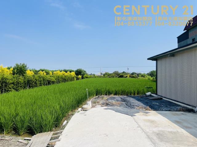 彰化田尾農地-3