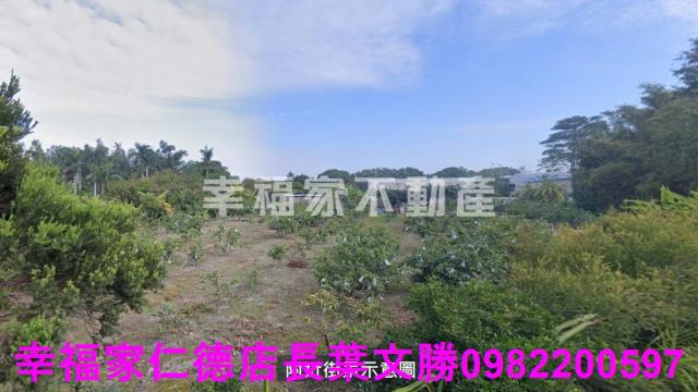 歸仁農地-12
