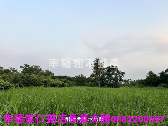 歸仁農地-13