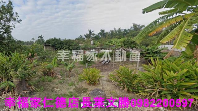 歸仁農地-6