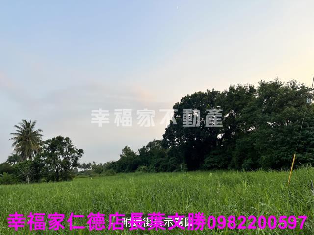 歸仁農地-8