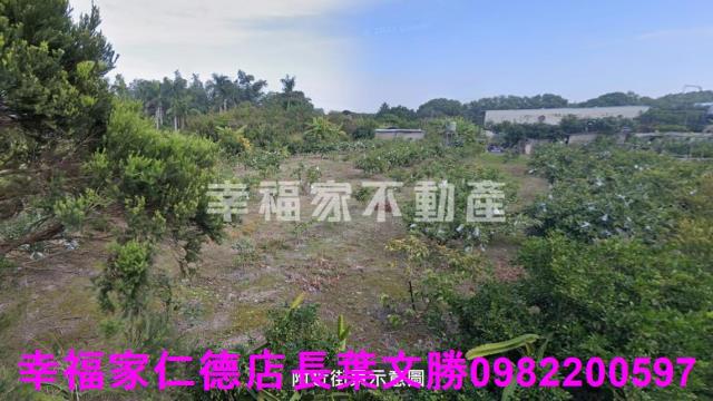 歸仁農地-9