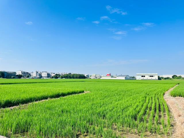 嘉義西區農地-5