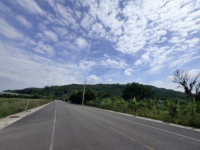 高雄阿蓮農地-4