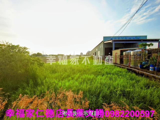 安定農地-2