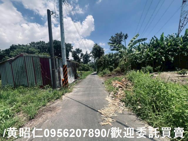 麻豆農地-5