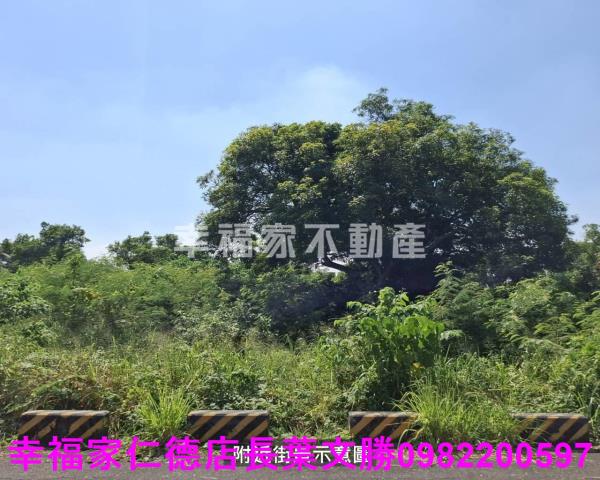 台南農地-11