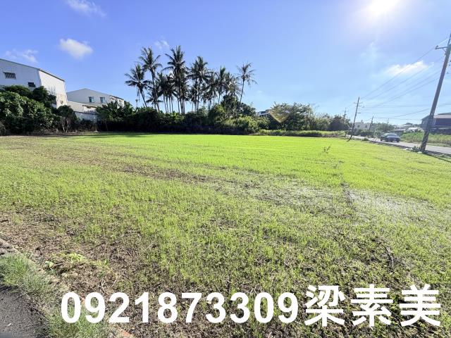 台南安定農地-2