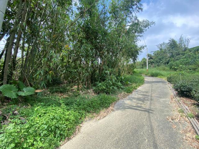 南投竹山農地-1