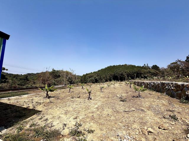 南投鹿谷農地-1