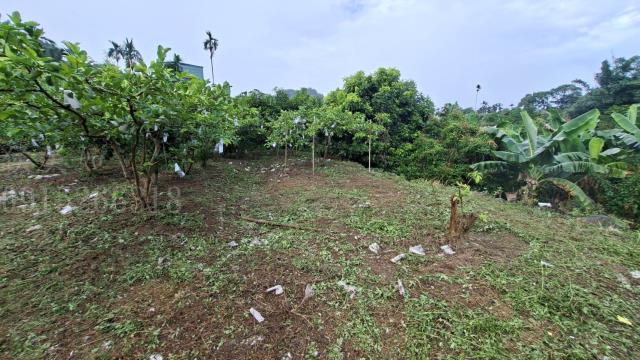 嘉義梅山農地-6