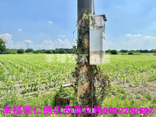 善化農地-12