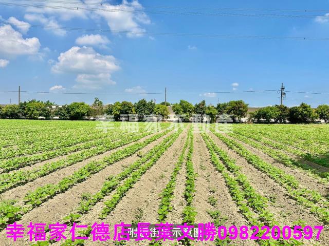 善化農地-13