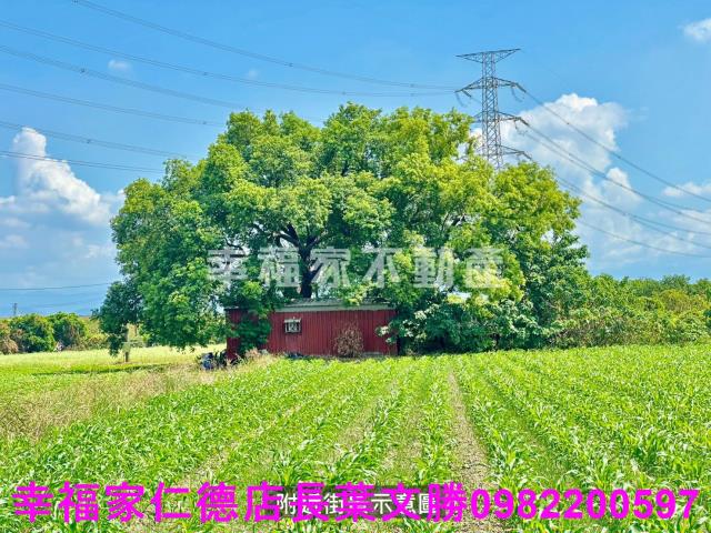 善化農地-2