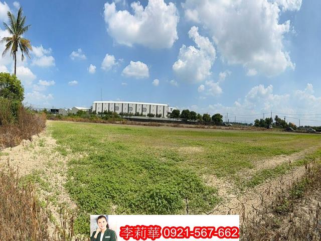 新市農地-6