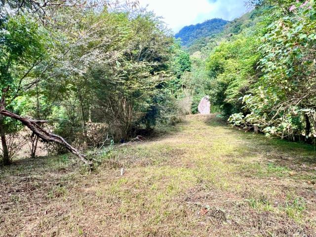 南投埔里農地-7