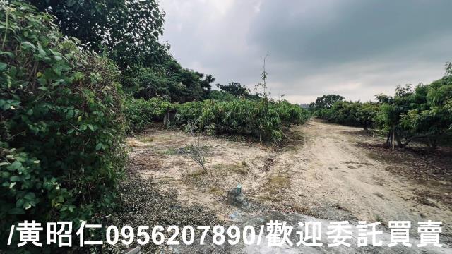 台南歸仁農地-2