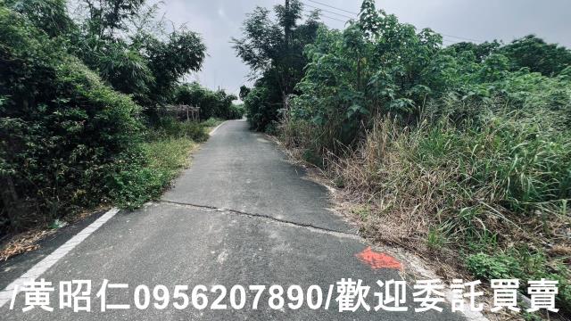 台南歸仁農地-11
