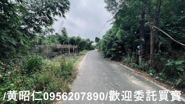 台南歸仁農地-6