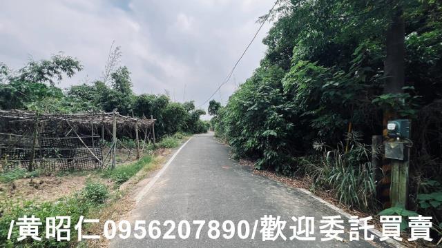 台南歸仁農地-7