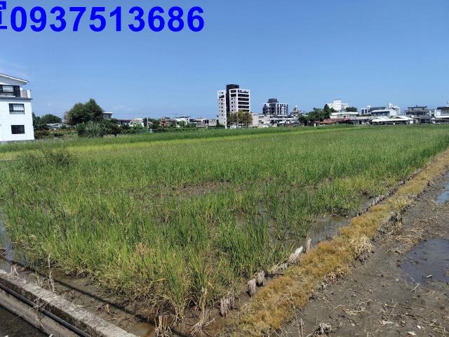 宜蘭市農地-5