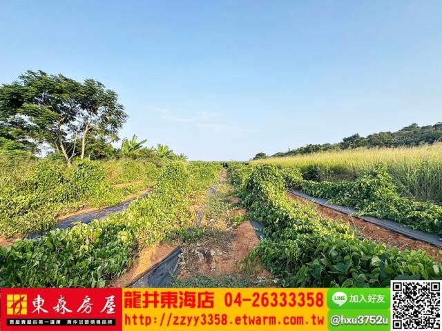 台中農地-4