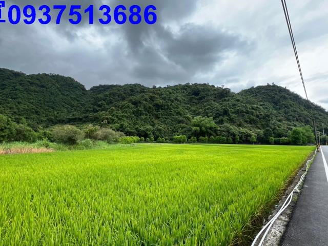 員山農地-12