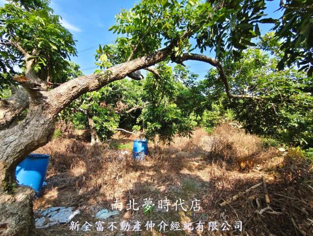 台南農地-12